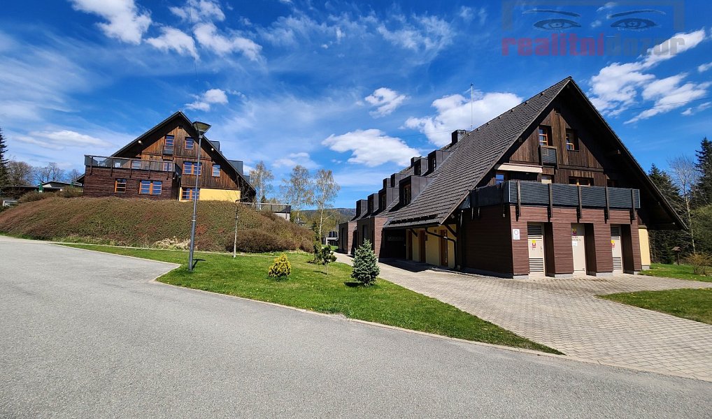 Prodej bytu 1+kk 55 m², Říčky v Orlických horách – náhled fotky 7