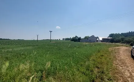 Prodej pole 32 279 m², Pavlov, okres Šumperk
