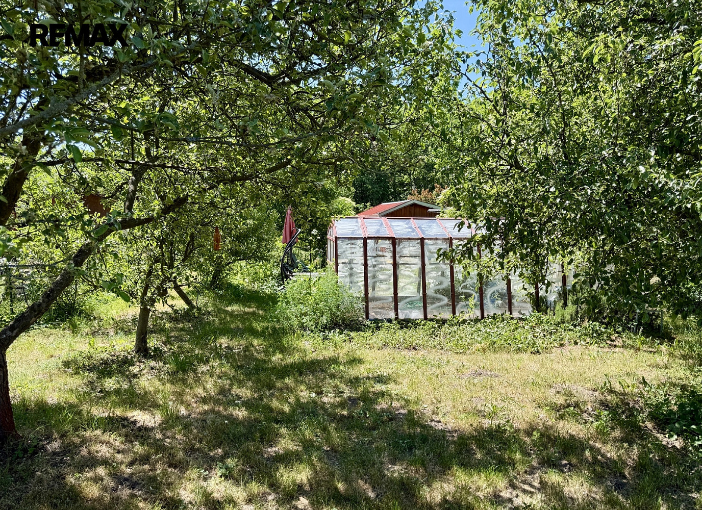 Prodej zahrady 319 m²