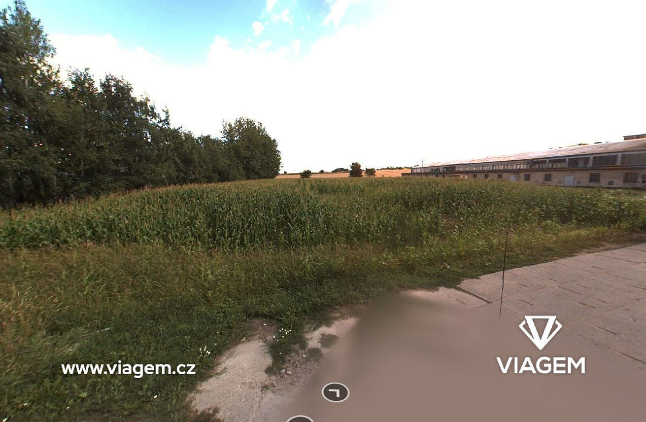 Prodej pole 3 136 m² – fotografie 2