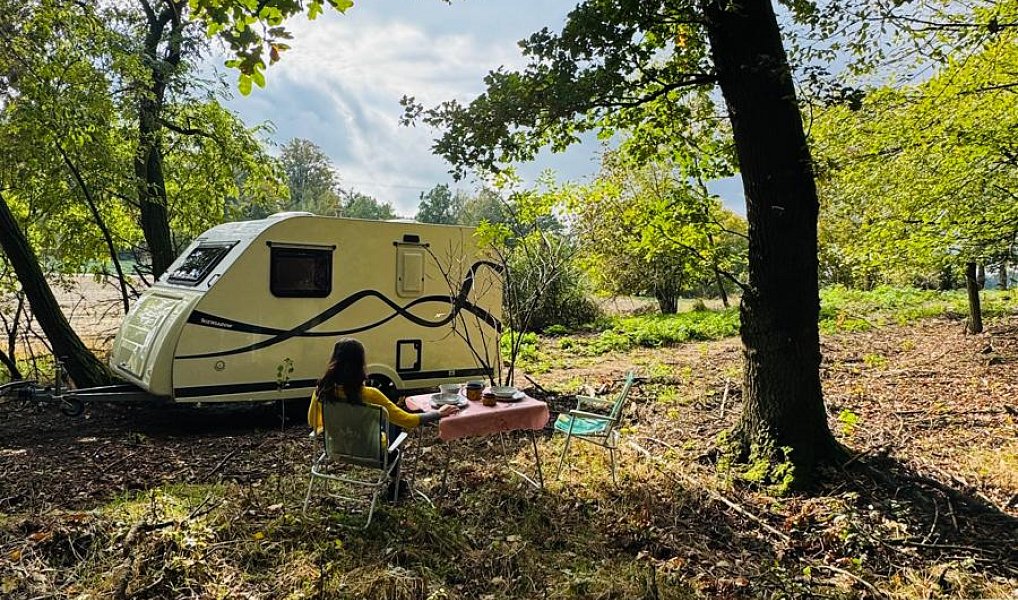 Prodej lesa 893 m², Postupice – náhled fotky 6