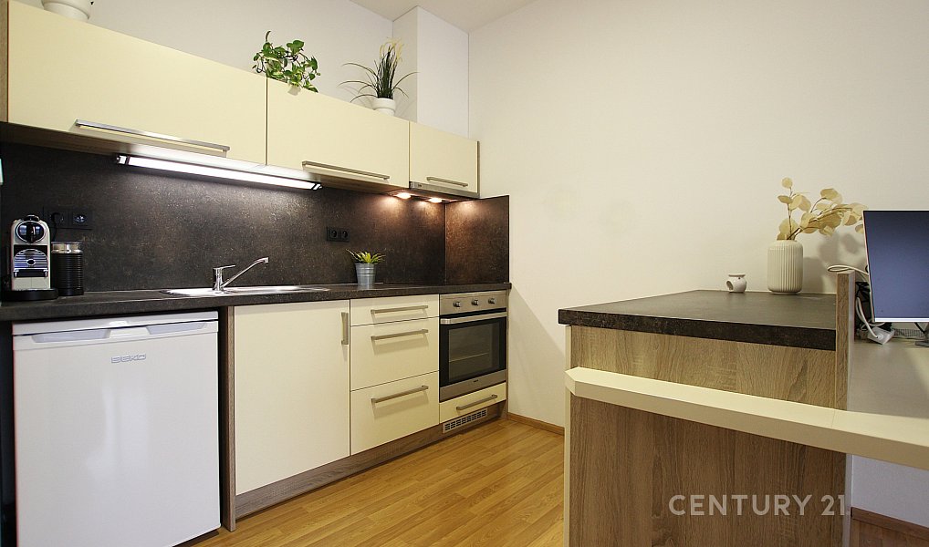 Pronájem bytu 2+kk 44 m², Brno – náhled fotky 3