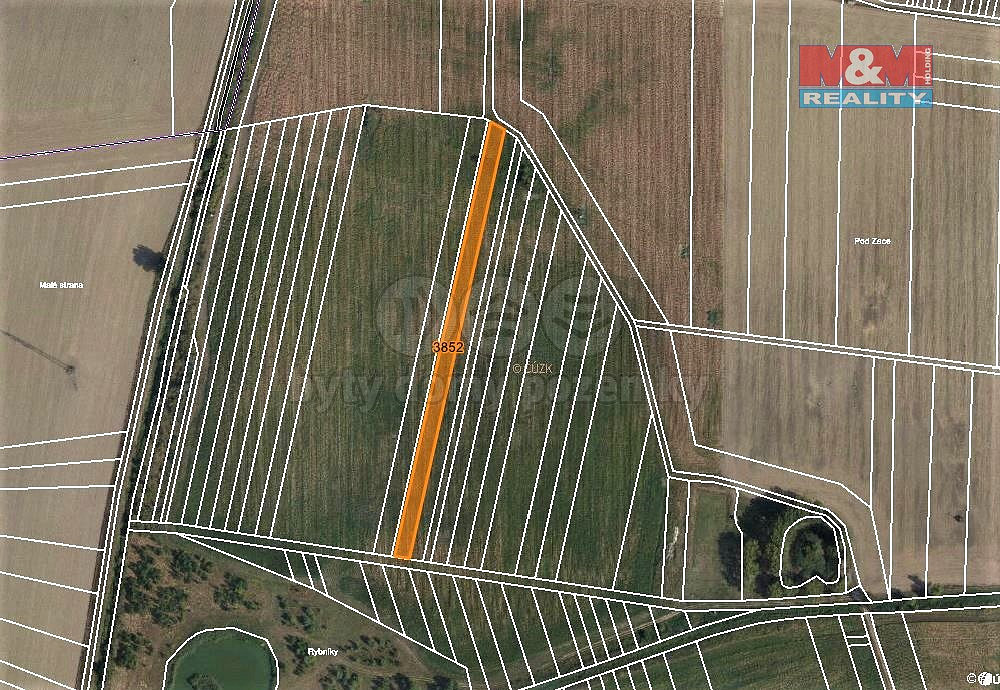Prodej pole 3 419 m² – fotografie 4
