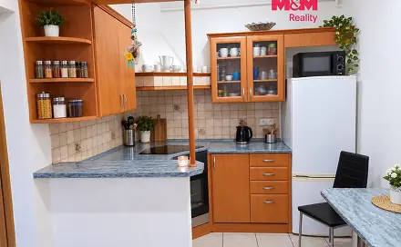 Prodej bytu 1+1 42 m²