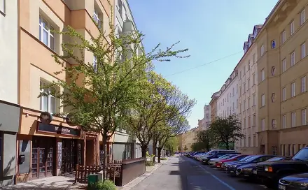 Pronájem bytu 1+1 45 m², Gorkého, Brno