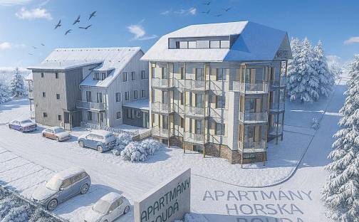 Prodej bytu 1+kk 24 m², Bublava, okres Sokolov