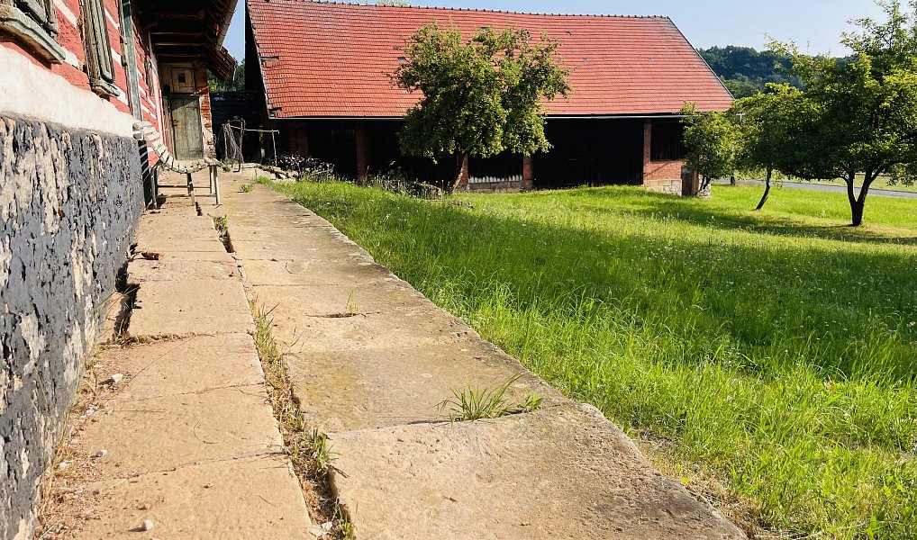 Prodej chaty/chalupy 600 m² s pozemkem 9 782 m², Úbislavice – náhled fotky 6