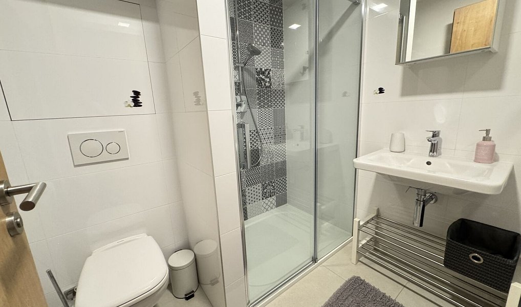 Prodej komerčního objektu (jiného typu) 48 m², Dolní Morava – náhled fotky 7