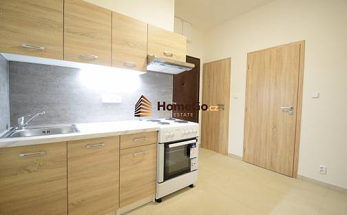 Pronájem bytu 2+1 65 m², U gymnázia, Praha 4 - Nusle