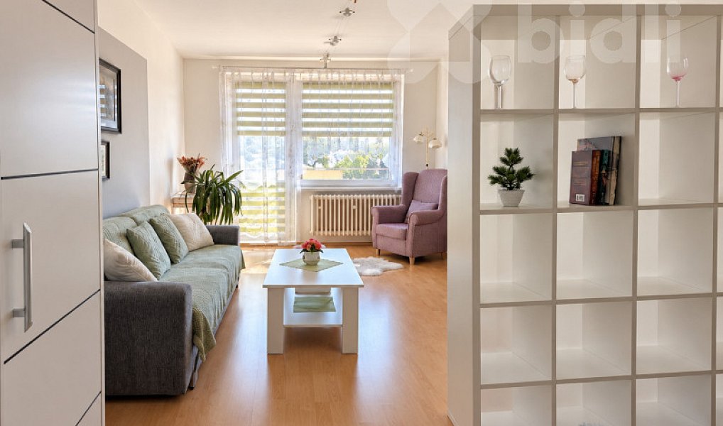 Prodej bytu 1+1 49 m², Šternberk – náhled fotky 2