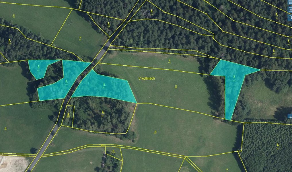 Prodej lesa 7 493 m², Proseč – náhled fotky 2