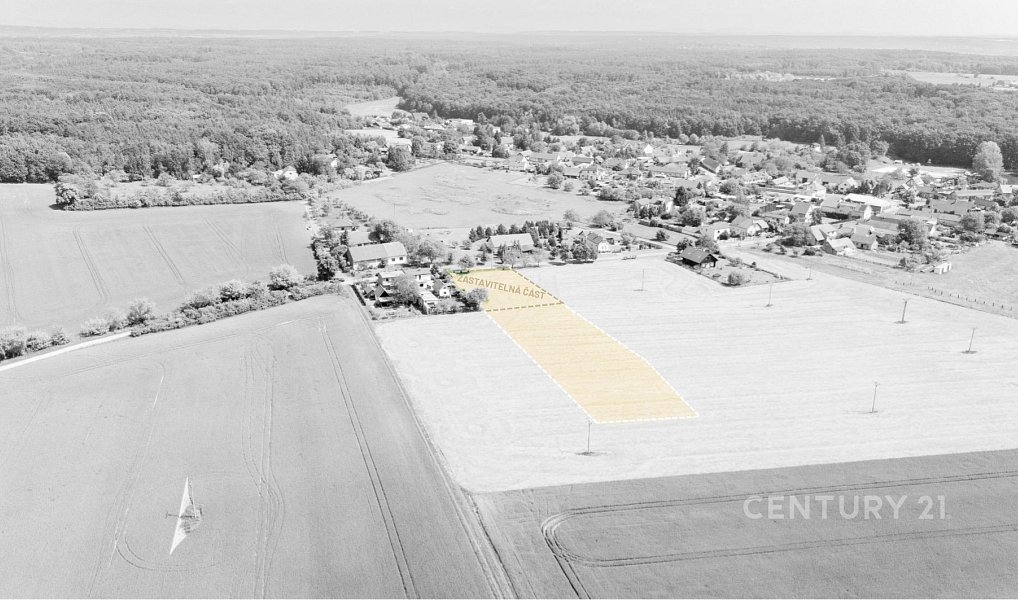 Prodej stavebního pozemku 5 553 m², Jizbice – náhled fotky 6