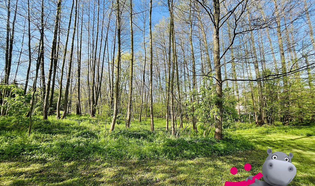 Prodej domu 446 m² s pozemkem 4 955 m², Černá Voda – náhled fotky 28