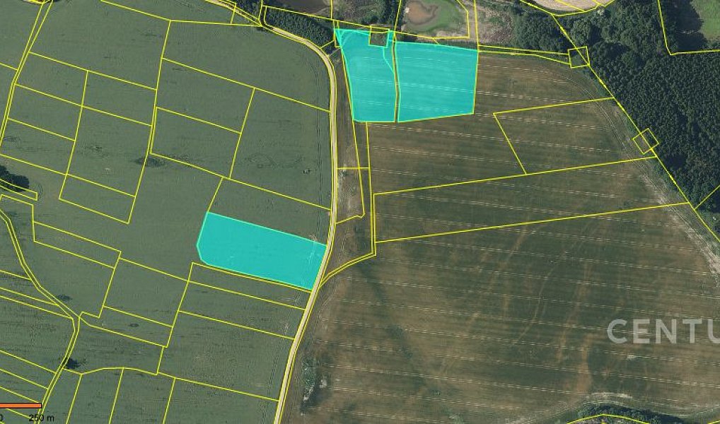 Prodej pole 40 119 m², Nová Včelnice – náhled fotky 11