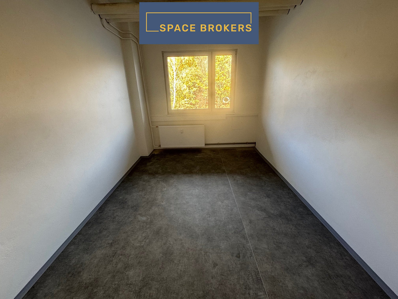 Pronájem skladovacích prostor 2 900 m² — photo 5