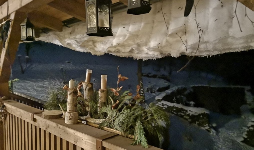 Prodej chaty/chalupy 300 m² s pozemkem 4 419 m², Stráž nad Ohří – náhled fotky 13