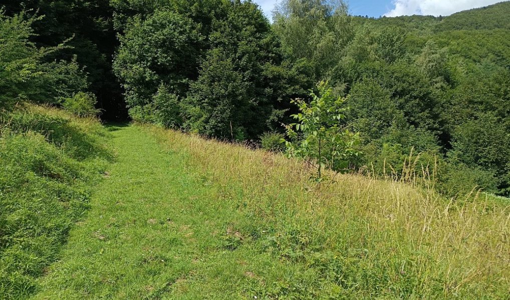 Prodej pozemku 42 844 m², Lopeník – náhled fotky 2
