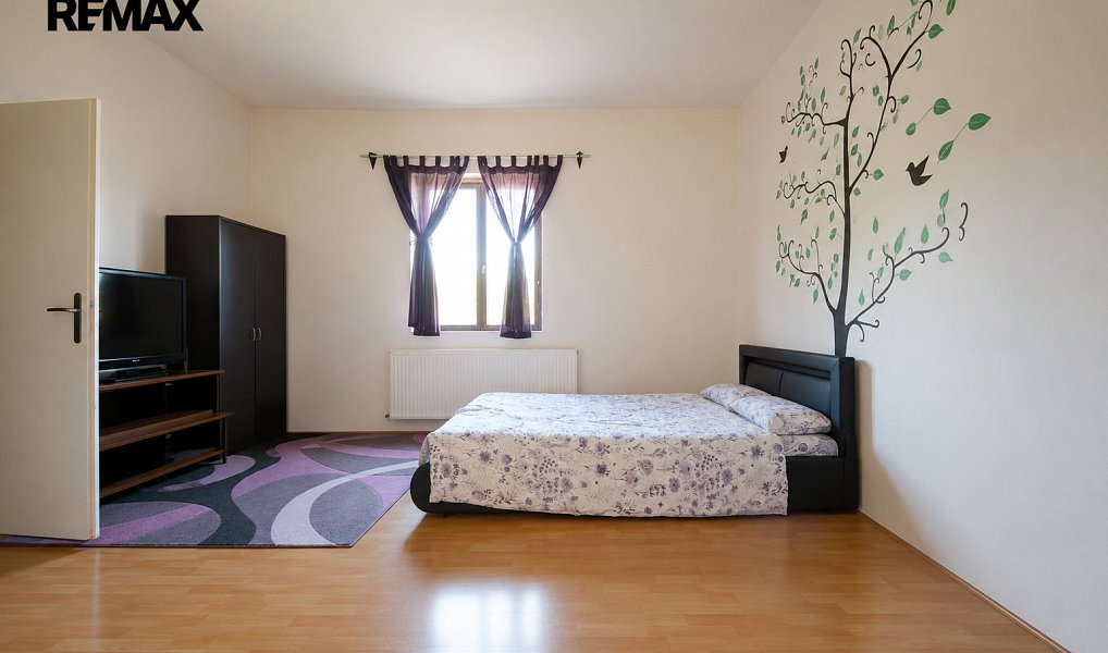Prodej domu 236 m² s pozemkem 1 191 m², Hradec Králové – náhled fotky 11