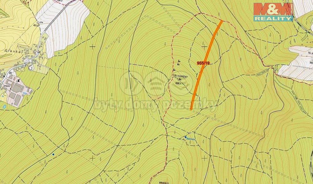 Prodej lesa 10 966 m², Nová Hradečná – náhled fotky 3