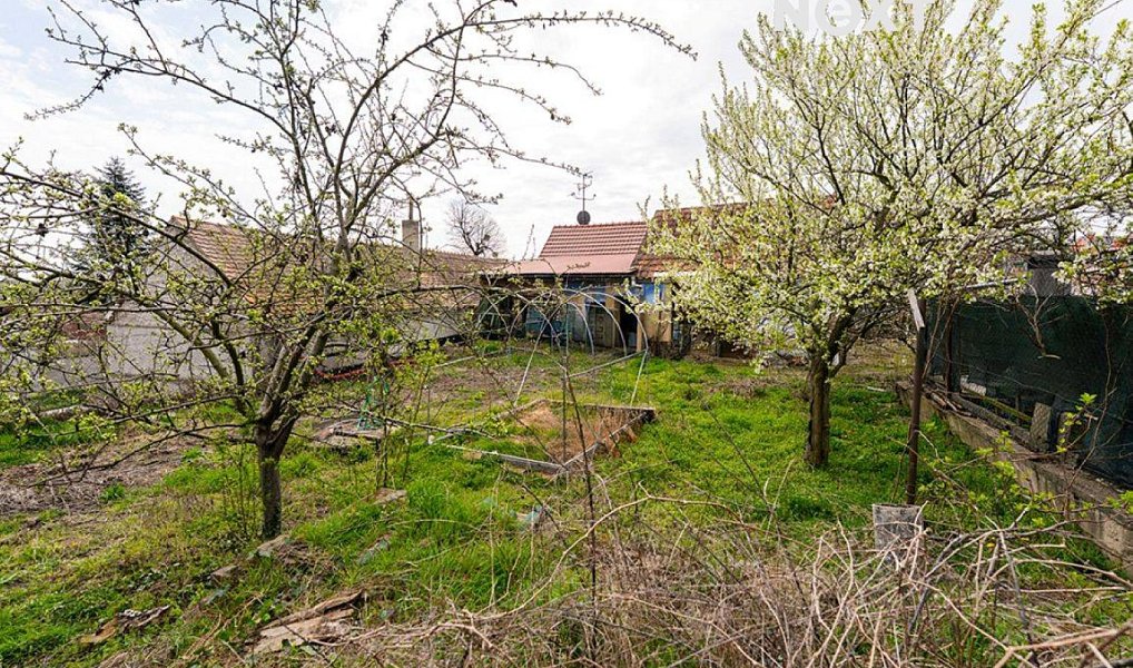 Prodej stavebního pozemku 423 m², Lanžhot – náhled fotky 5