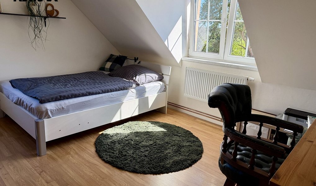 Prodej domu 214 m² s pozemkem 611 m², Stará Huť – náhled fotky 34