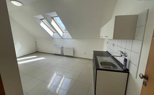 Pronájem bytu 2+kk 55 m², Těšany, okres Brno-venkov