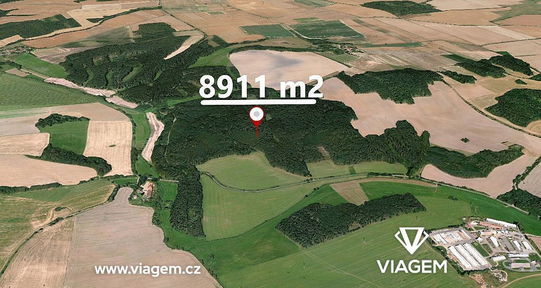 Prodej lesa 2 599 m² – fotografie 2