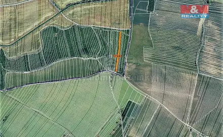 Prodej pole 1 162 m², Syrovín, okres Hodonín