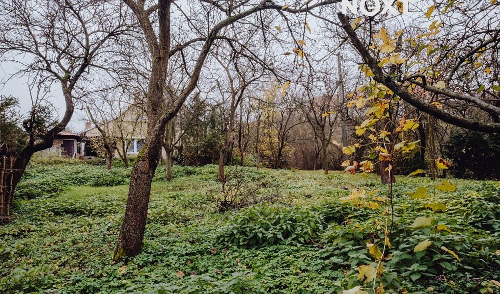 Prodej stavebního pozemku 437 m², Věteřov – náhled fotky 2
