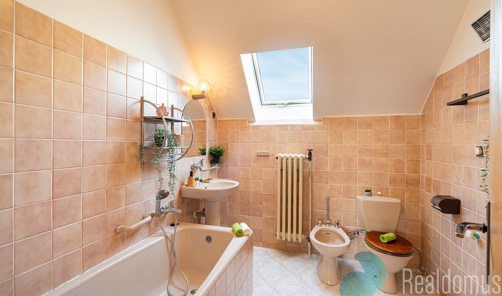Prodej domu 235 m² s pozemkem 724 m², Litvínovice – náhled fotky 18