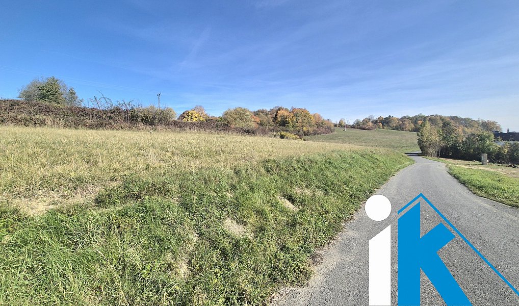 Prodej pole 2 347 m², Dzbel – náhled fotky 4