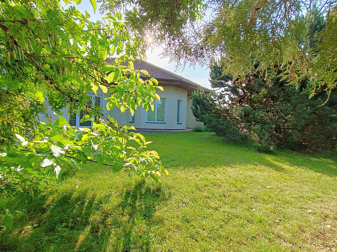 Pronájem domu 190 m² s pozemkem 1 000 m² — photo 4