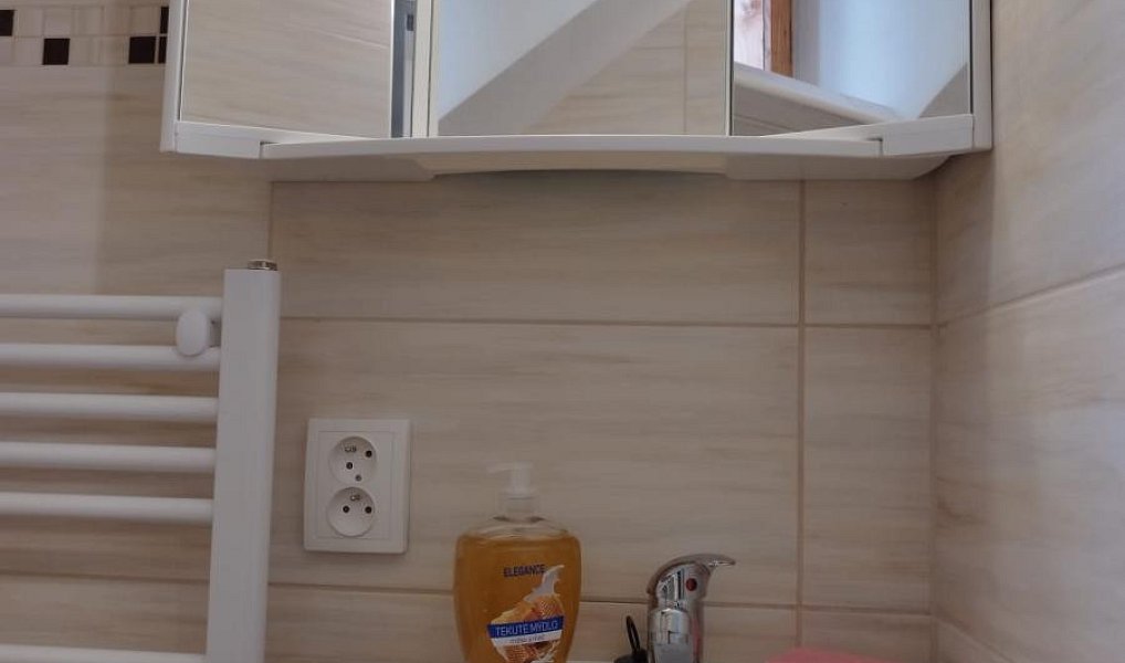 Prodej komerčního objektu (jiného typu) 190 m², Šluknov – náhled fotky 17