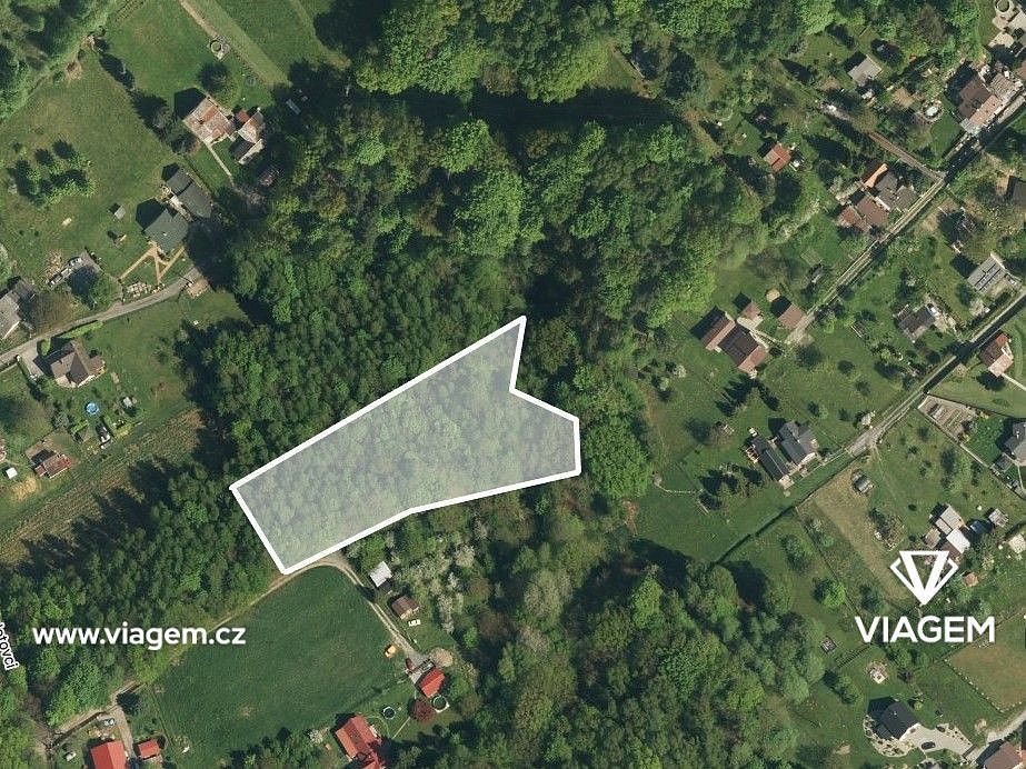 Prodej lesa 4 764 m²