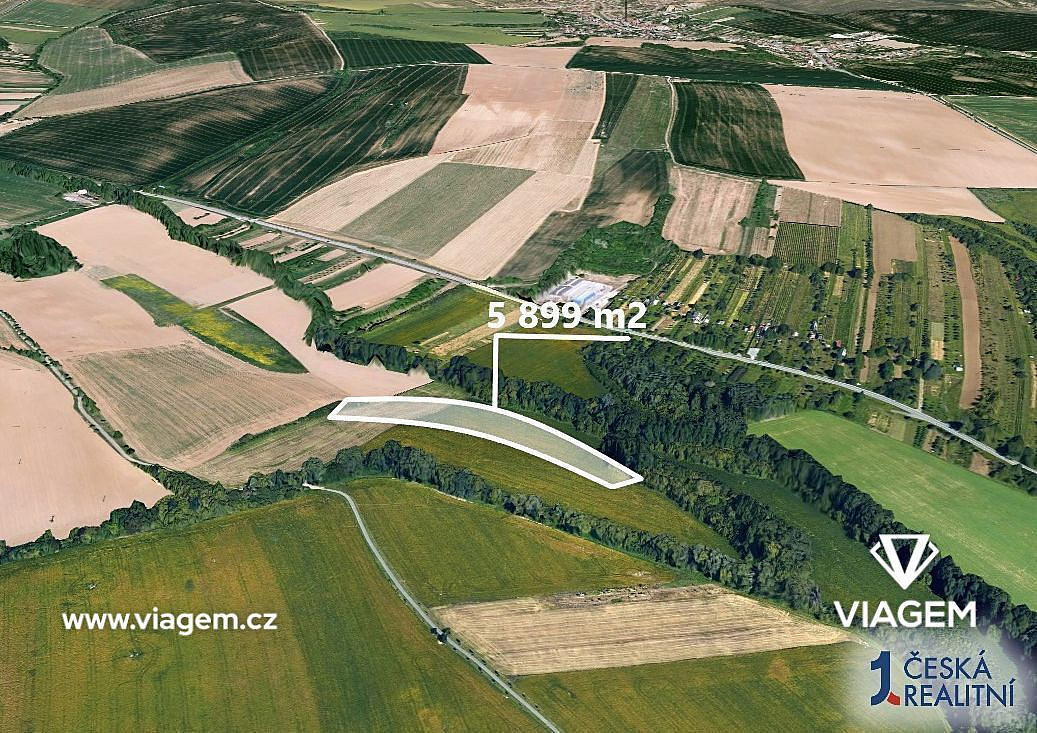 Prodej pole 5 899 m²