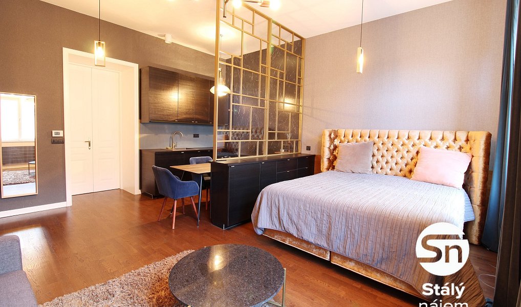 Pronájem bytu 1+kk 41 m², Praha – náhled fotky 2
