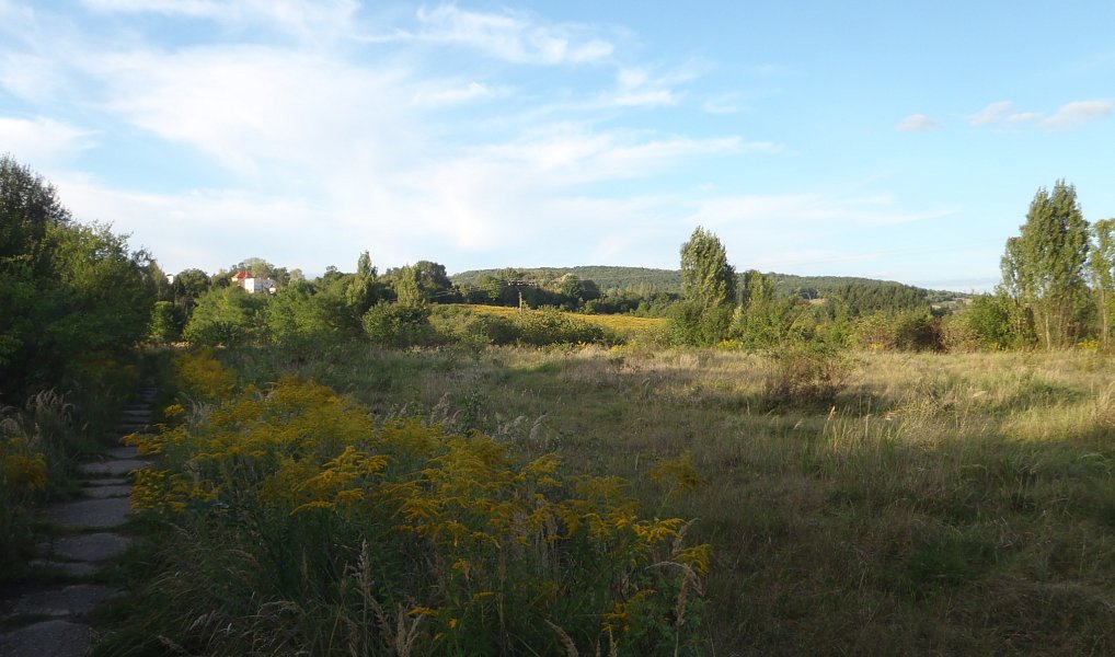Prodej louky 8 401 m², Kosmonosy – náhled fotky 5