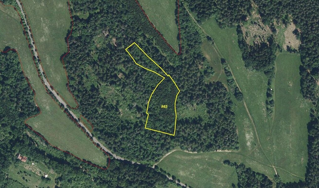 Prodej pole 9 794 m², Železný Brod – náhled fotky 4