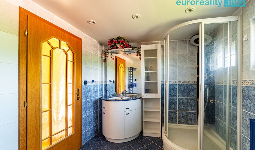 Pronájem domu 210 m² s pozemkem 1 068 m², Aš – náhled fotky 27