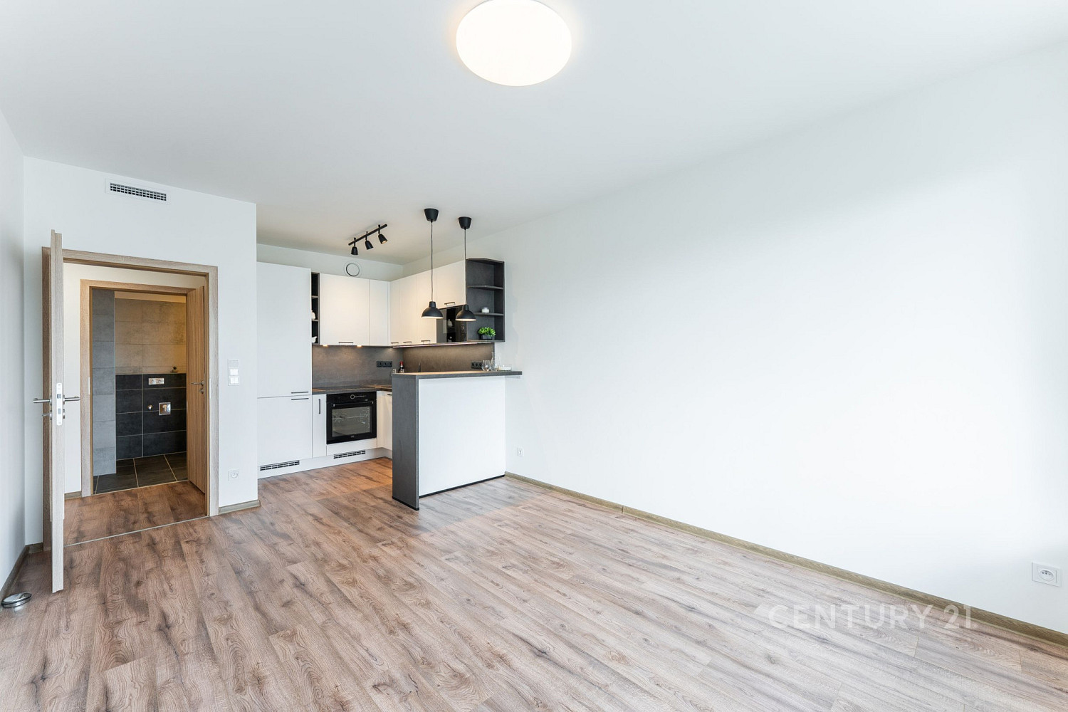 Pronájem bytu 3+kk 70 m² – fotografie 2