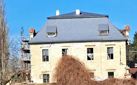 Prodej domu (jiného typu) 2 700 m², Ronov nad Doubravou - Moravany, okres Chrudim