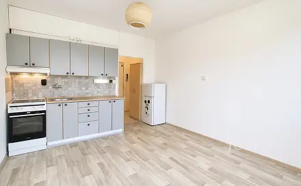 Pronájem bytu 1+kk 19 m², 17. listopadu, Písek - Budějovické Předměstí