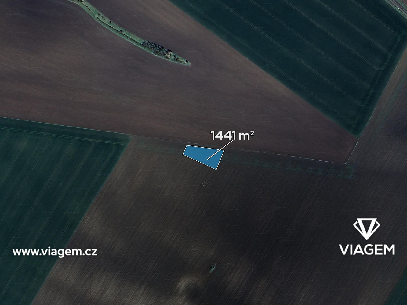Prodej pole 720 m² – fotografie 2