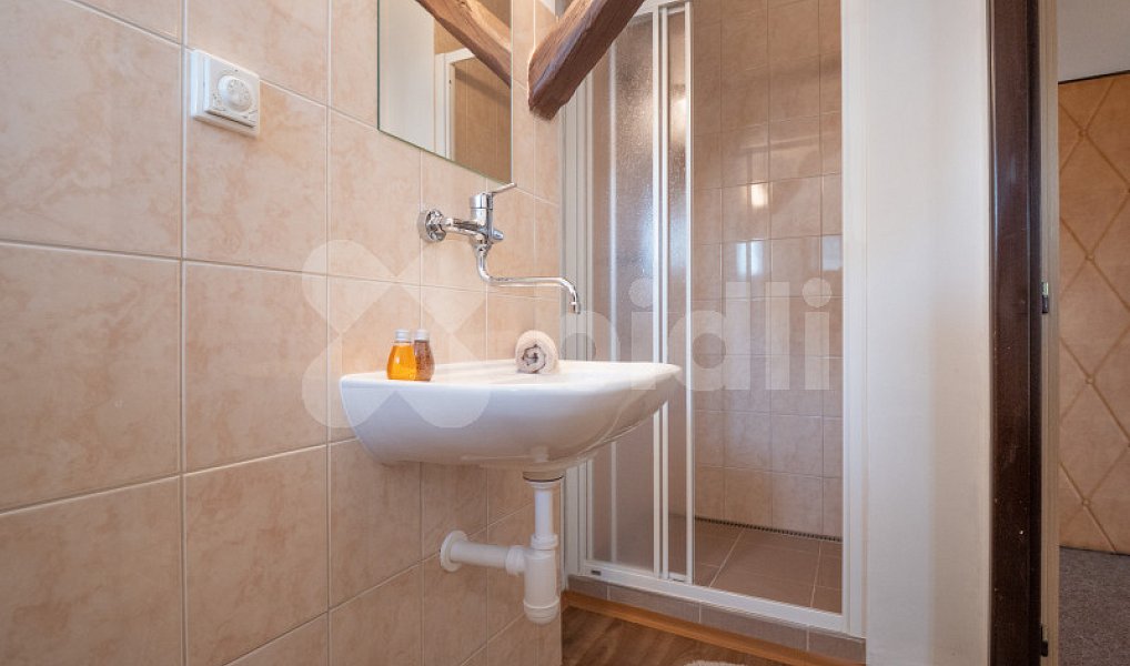 Prodej stavebního pozemku 115 385 m², Dolní Moravice – náhled fotky 9