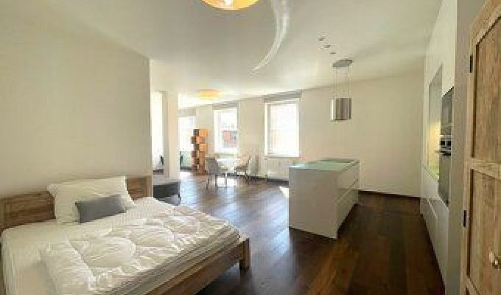 Pronájem bytu 1+kk 55 m², Brno – náhled fotky 5
