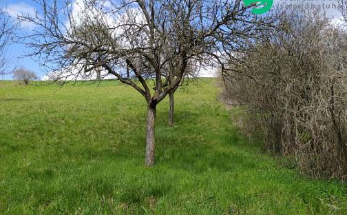 Prodej zahrady 571 m², Hradčovice, okres Uherské Hradiště