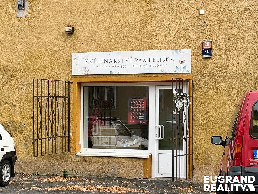 Pronájem obchodních prostor 55 m²