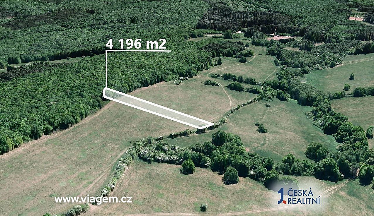 Prodej pole 4 196 m² – fotografie 2
