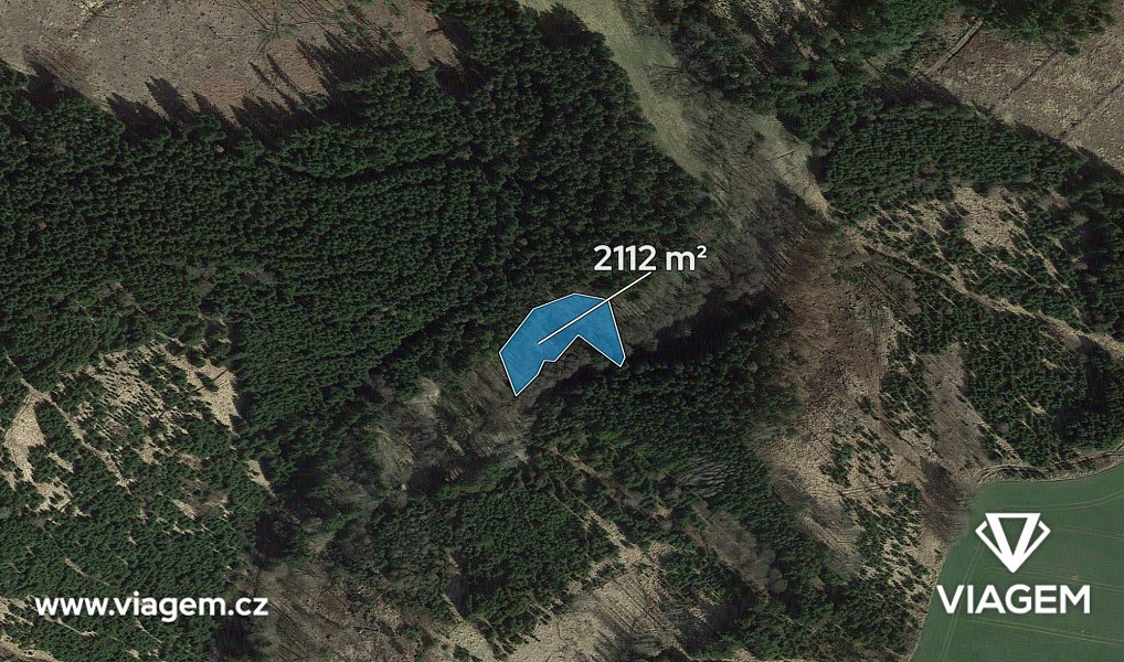 Prodej lesa 2 112 m², Zbizuby – náhled fotky 2