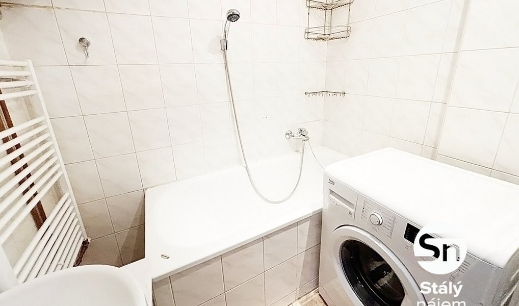 Pronájem bytu 1+1 48 m², Praha – náhled fotky 5